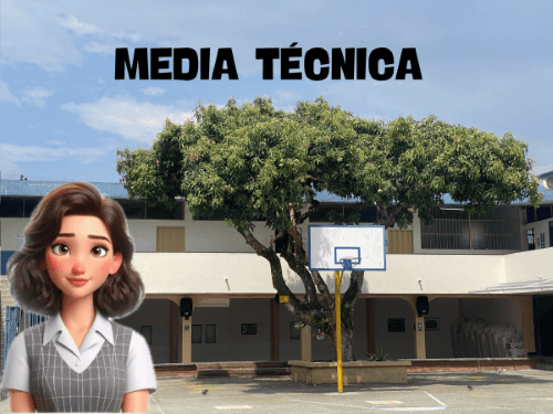 MEDIA TÉCNICA