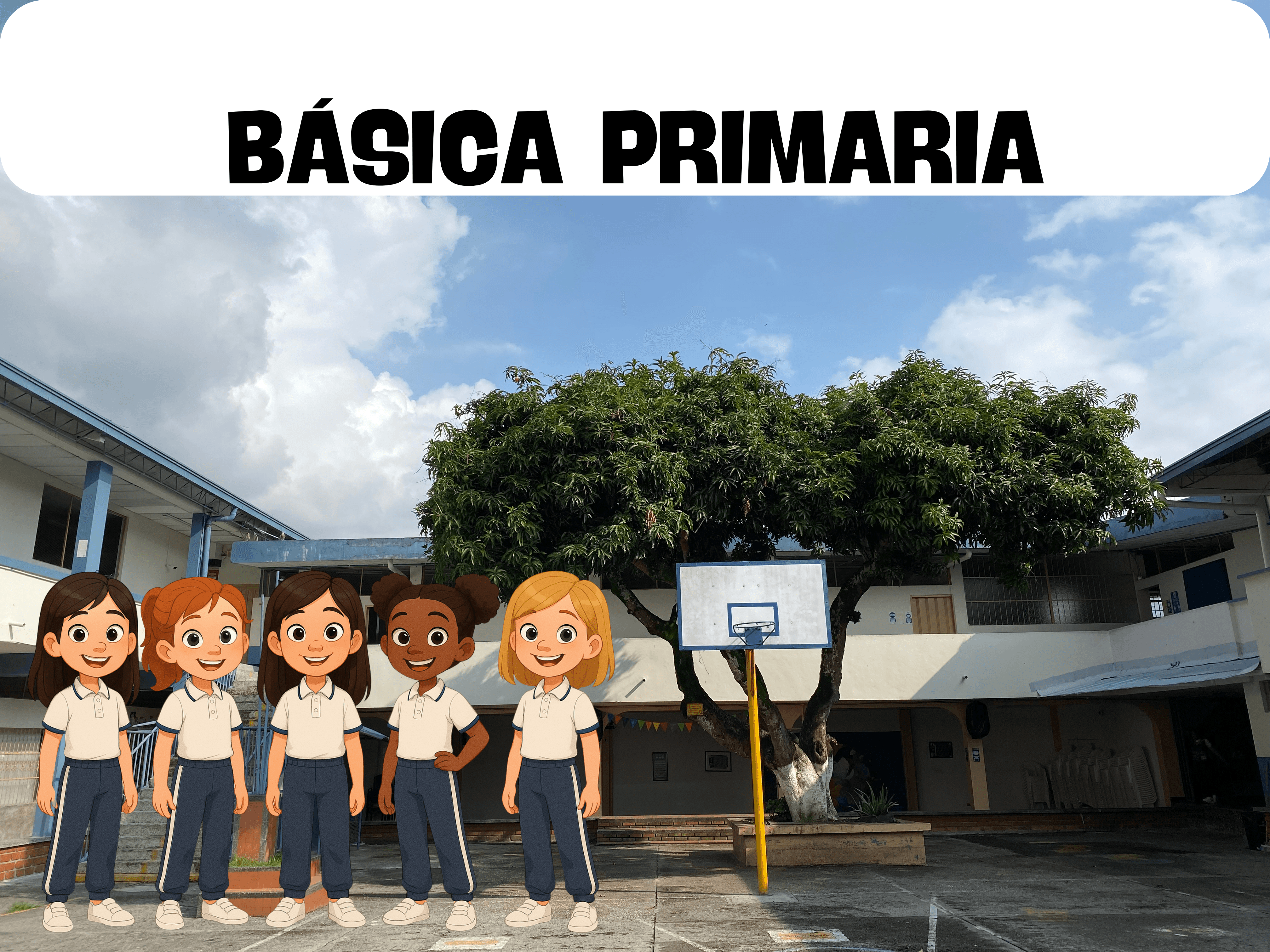 BÁSICA PRIMARIA